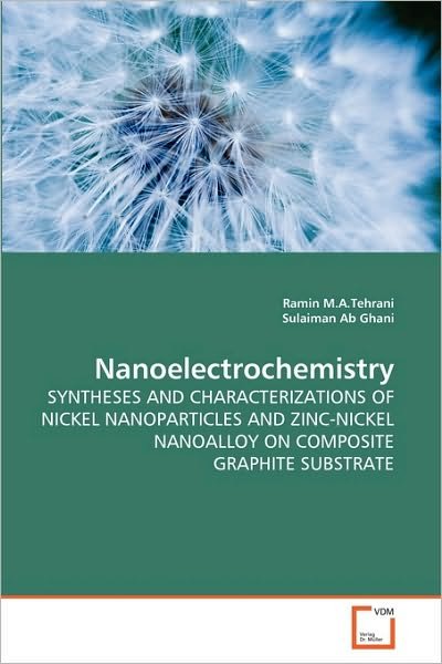 Nanoelectrochemistry: Syntheses and Characterizations of Nickel Nanoparticles and Zinc-nickel Nanoalloy on Composite Graphite Substrate - Sulaiman Ab Ghani - Libros - VDM Verlag Dr. Müller - 9783639265446 - 10 de junio de 2010