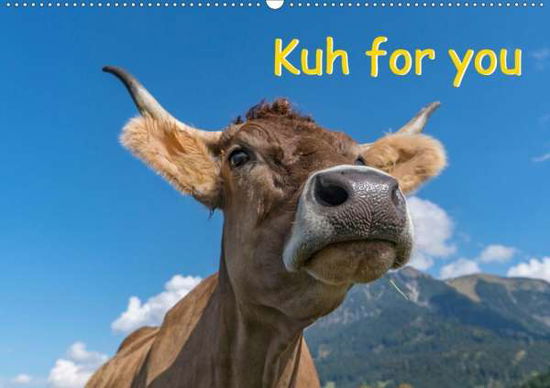 Cover for Kaina · Kuh for you (Wandkalender 2020 DI (Book)