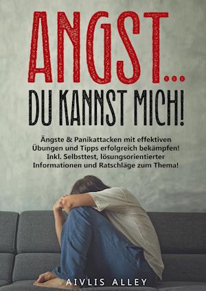 Cover for Aivlis Alley · Angst... du kannst mich! (Book) (2024)