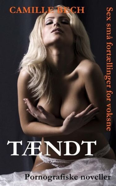 Tændt - Camille Bech - Bøger - 996344 - 9788799634446 - 18. april 2014