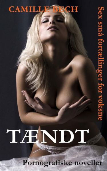 Cover for Camille Bech · Tændt (Taschenbuch) [Danish, 2. Udgave edition] (2014)