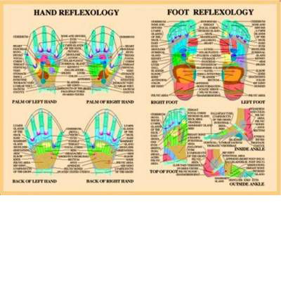Jan van Baarle · Hand & Foot Reflexology -- A4 (Poster) (2003)