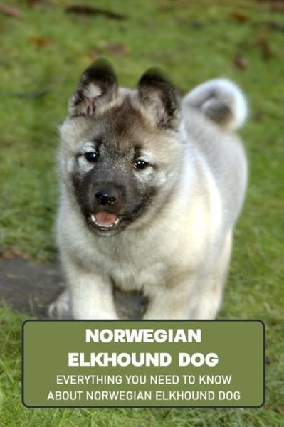 Cover for Lankford Marcus · Norwegian Elkhound Dog: Everything You Need to Know about Norwegian Elkhound Dog: Norwegian Elkhound Information and Owner's Guide (Paperback Book) (2021)