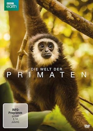 Cover for Die Welt Der Primaten (DVD) (2022)