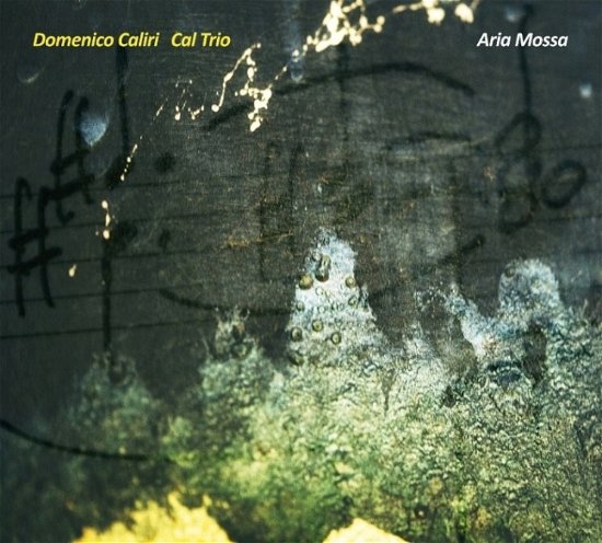 Cover for Caliri,domenico / Cal Trio · Aria Mossa (CD) (2018)