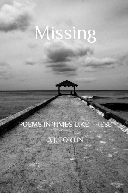 Cover for Aj Fortin · Missing (Paperback Book) (2020)