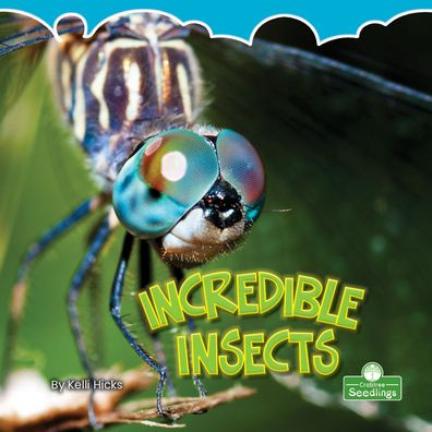 Cover for Kelli Hicks · Incredible Insects (Paperback Book) (2021)