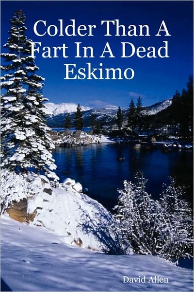 Cover for David Allen · Colder Than a Fart in a Dead Eskimo (Taschenbuch) (2007)