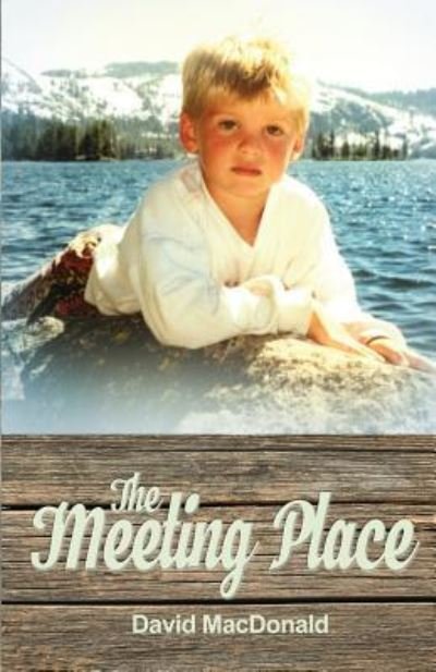 The Meeting Place - David MacDonald - Bücher - Rosedog Books - 9781480978447 - 6. Februar 2018