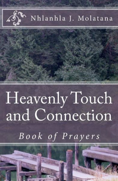 Heavenly Touch and Connection - Nhlanhla J Molatana - Livros - Createspace Independent Publishing Platf - 9781522816447 - 16 de setembro de 2015