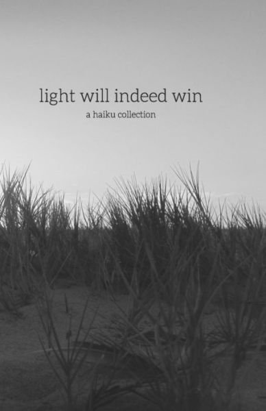 Cover for Raleigh Erin Tillman · Light Will Indeed Win (Paperback Bog) (2016)