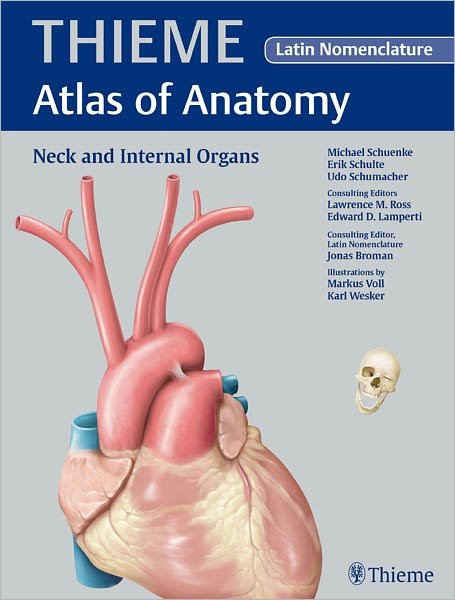 Cover for Michael Schünke · Thieme Atlas of Anatomy: Neck and Internal Organs (Bok) (2010)