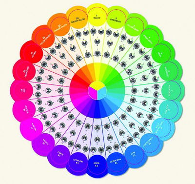 Essential Color Wheel Companion: Choose Perfect Colors with Confidence - Joen Wolfrom - Merchandise - C & T Publishing - 9781617451447 - July 14, 2016