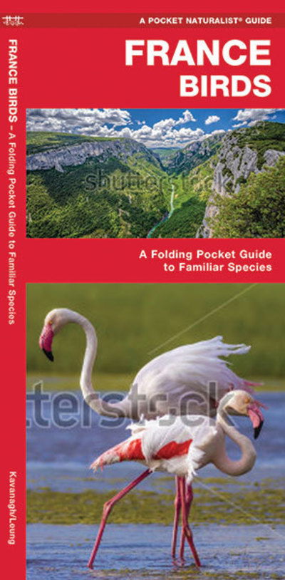 Cover for Kavanagh, James, Waterford Press · France Birds: A Folding Pocket Guide to Familiar Species - Wildlife and Nature Identification (Pamflet) (2020)