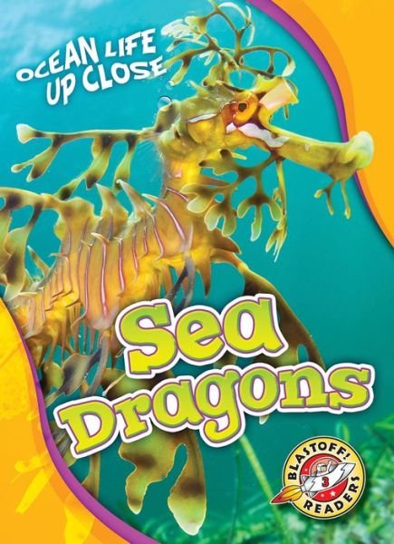 Cover for Heather Adamson · Sea Dragons - Ocean Life Up Close (Hardcover Book) (2017)