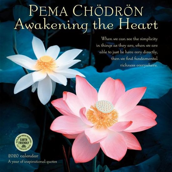 Pema Chodron Calendar 2020 : Awakening the Heart - Pema Chodron - Merchandise - Amber Lotus Publishing - 9781631365447 - 7. Juli 2019