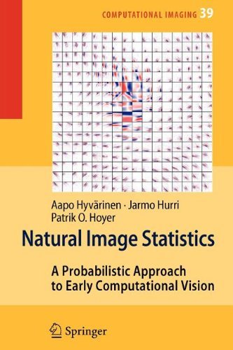 Cover for Aapo Hyvarinen · Natural Image Statistics: A Probabilistic Approach to Early Computational Vision. - Computational Imaging and Vision (Paperback Bog) [Softcover reprint of hardcover 1st ed. 2009 edition] (2010)