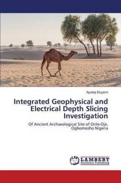 Cover for Eluyemi Ayodeji · Integrated Geophysical and Electrical Depth Slicing Investigation (Paperback Bog) (2015)