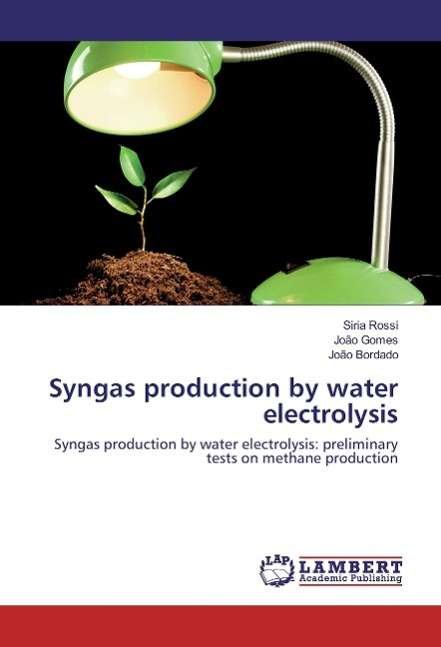 Cover for Rossi · Syngas production by water electr (Book)