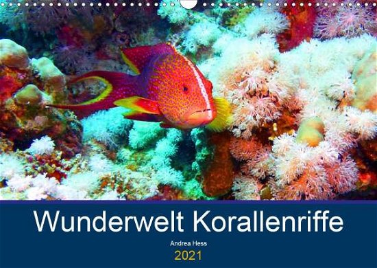 Cover for Hess · Wunderwelt Korallenriffe (Wandkale (Bog)