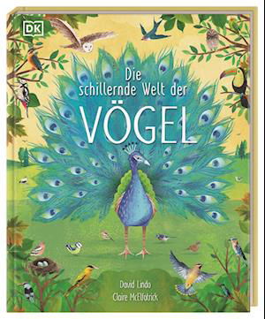 Cover for David Lindo · Die schillernde Welt der Vögel (Book) (2023)