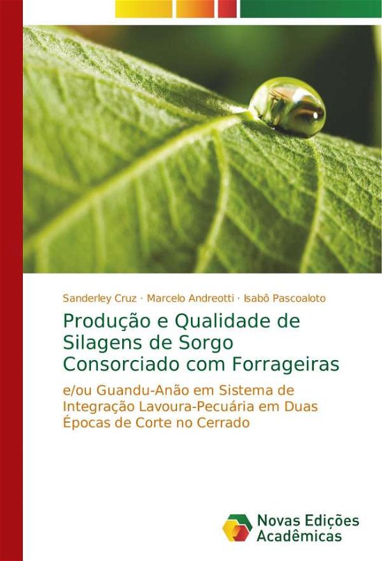 Cover for Cruz · Produção e Qualidade de Silagens d (Book) (2017)