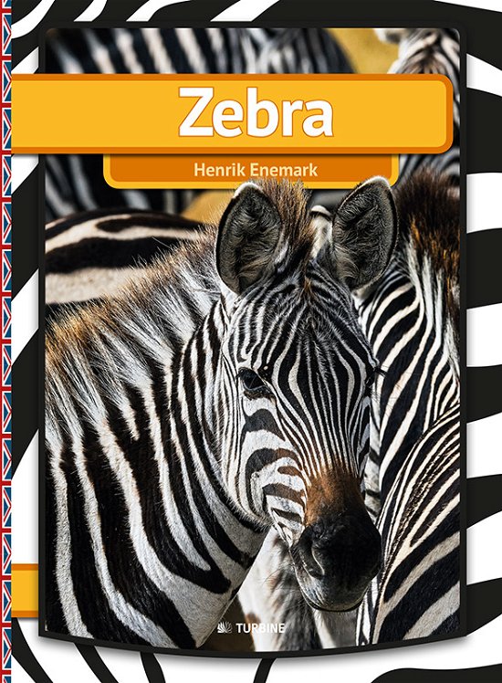Cover for Henrik Enemark · My First Book: Zebra (Bound Book) [Eng., 1.1 edition] (2015)