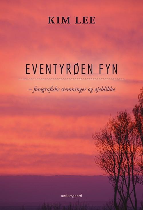 Eventyrøen Fyn - Kim Lee - Boeken - Forlaget mellemgaard - 9788771903447 - 24 april 2017