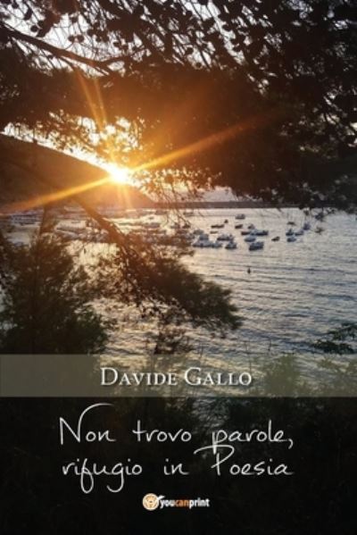 Cover for Davide Gallo · Non trovo parole, rifugio in Poesia (Paperback Book) (2018)