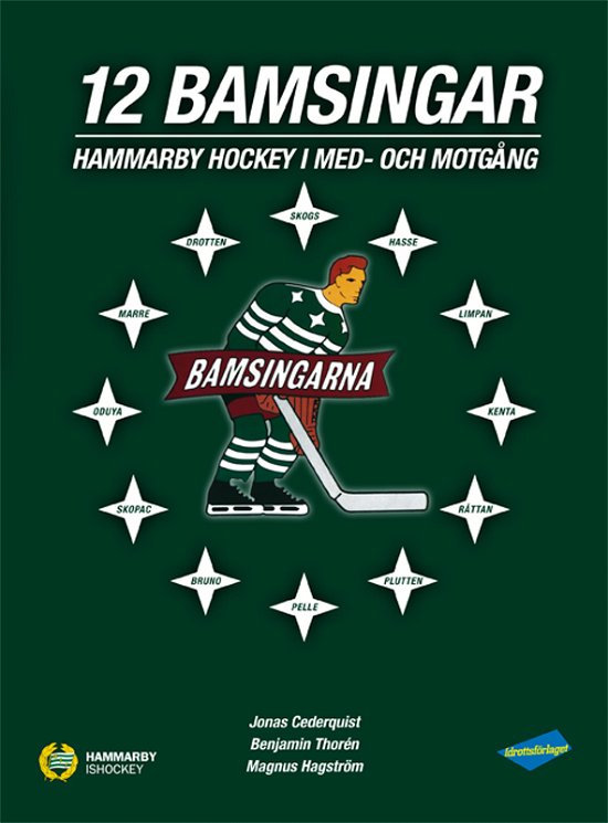 Cover for Magnus Hagström · 12 Bamsingar - Hammarby Hockey i med- och motgångar (Bound Book) (2024)
