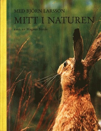 Cover for Björn Larsson · Med Björn Larsson mitt i naturen (Kort) (2006)