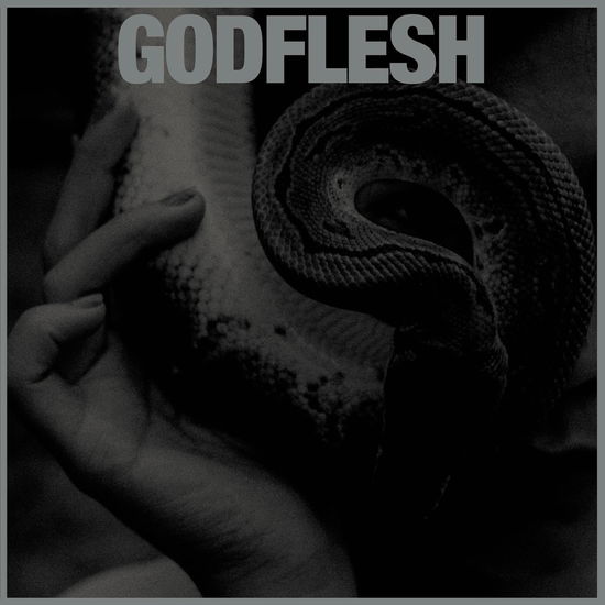 Purge - Godflesh - Music - AVALANCHE RECORDINGS - 0803341588448 - June 9, 2023