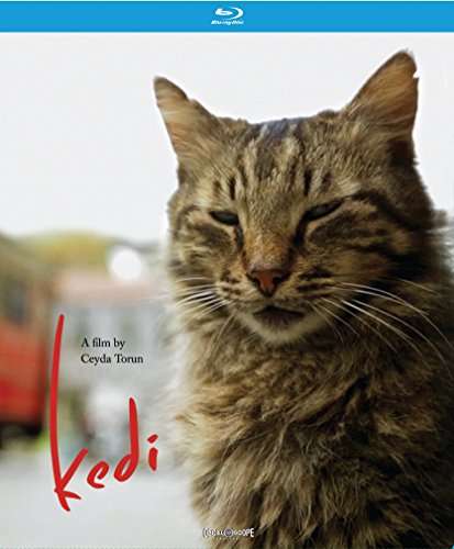 Cover for Blu-ray · Kedi (Blu-ray) (2019)