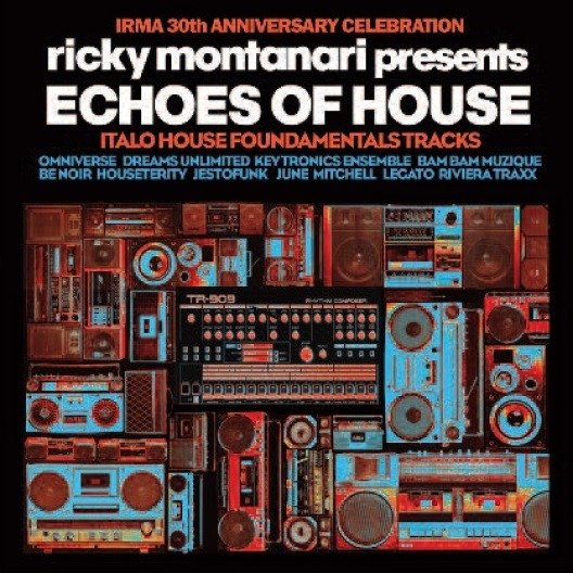 Cover for Ricky Montanari · Echoes Of House (LP) (2019)