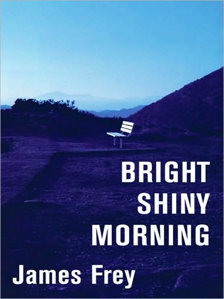 Bright Shiny Morning LP - James Frey - Książki - HarperLuxe - 9780061649448 - 1 sierpnia 2008