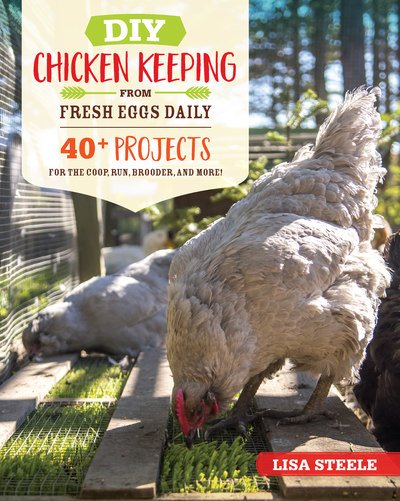 DIY Chicken Keeping from Fresh Eggs Daily: 40+ Projects for the Coop, Run, Brooder, and More! - Lisa Steele - Książki - Quarry Books - 9780760366448 - 11 lutego 2020