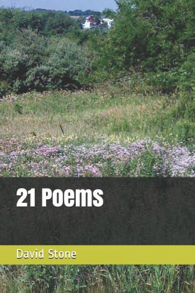 Cover for David Stone · 21 Poems (Taschenbuch) (2019)