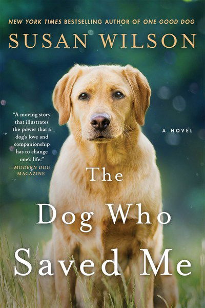 The Dog Who Saved Me - Susan Wilson - Kirjat - Griffin Publishing - 9781250080448 - tiistai 23. helmikuuta 2016