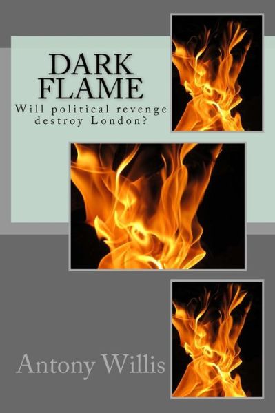 Cover for Antony M Willis · Dark Flame (Paperback Book) (2015)