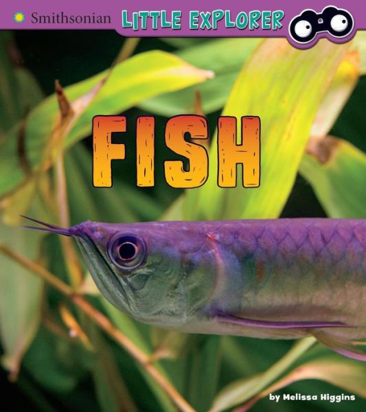 Cover for Melissa Higgins · Fish A 4D Book (Bok) (2018)