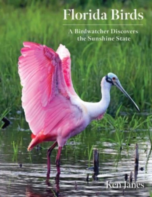 Cover for Ken Janes · Florida Birds: A Birdwatcher Discovers the Sunshine State (Paperback Book) (2024)