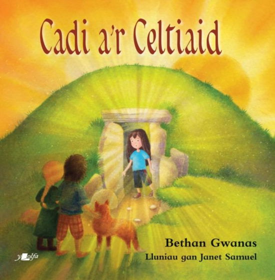 Cadi a'r Celtiaid - Bethan Gwanas - Books - Y Lolfa - 9781784617448 - October 31, 2019