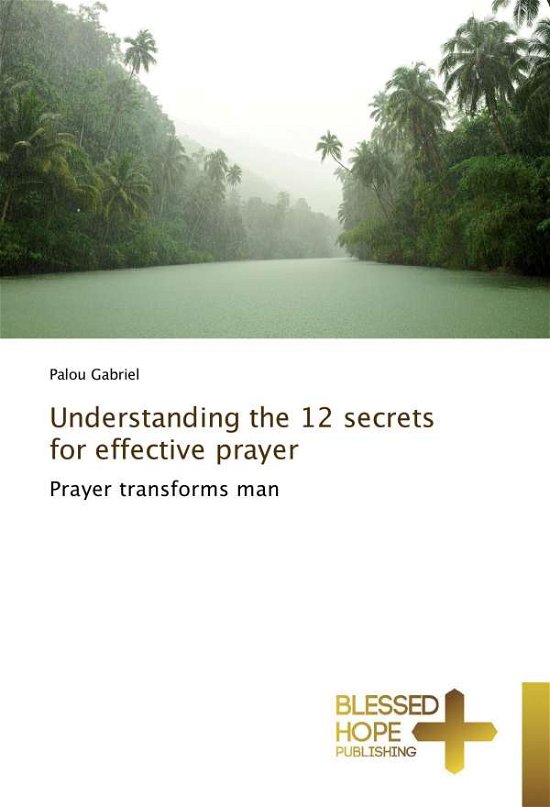 Cover for Gabriel · Understanding the 12 secrets fo (Book)