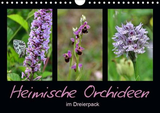 Heimische Orchideen im Dreierpack - Löwer - Böcker -  - 9783671432448 - 