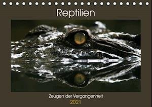 Cover for Herzog · Reptilien - Zeugen der Vergangen (Bog)