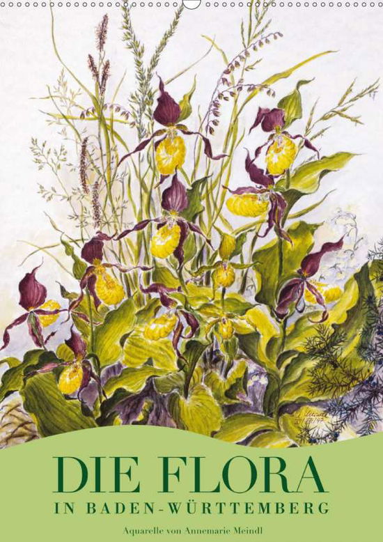 Cover for Meindl · Die Flora in Baden-Württemberg ( (Book)