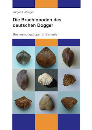 Cover for Jürgen Höflinger · Die Brachiopoden des deutschen Dogger (Paperback Book) (2021)