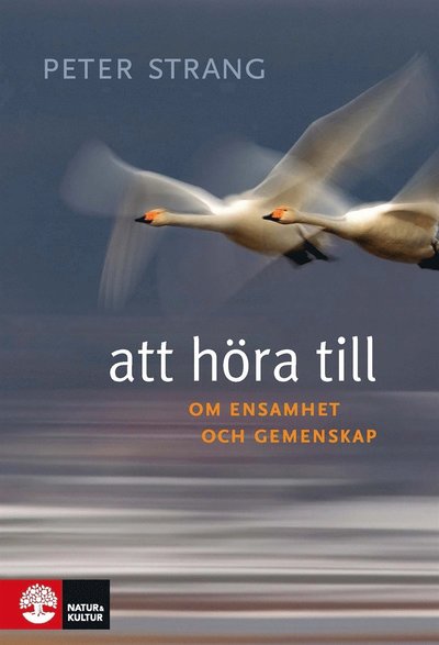 Cover for Peter Strang · Att höra till : om ensamhet och gemenskap (ePUB) (2014)