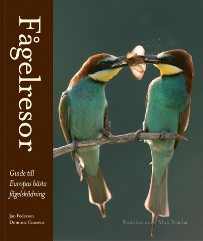 Fågelresor : guide till Europas bästa fågelskådning - Dominic Couzens - Książki - Max Ström - 9789171262448 - 29 marca 2012