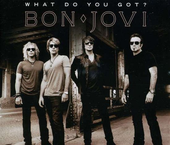 What Do You Got? (2-track - Bon Jovi - Muziek - ISLAN - 0602527548449 - 15 oktober 2010
